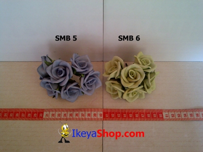 SMB 5 6  large2